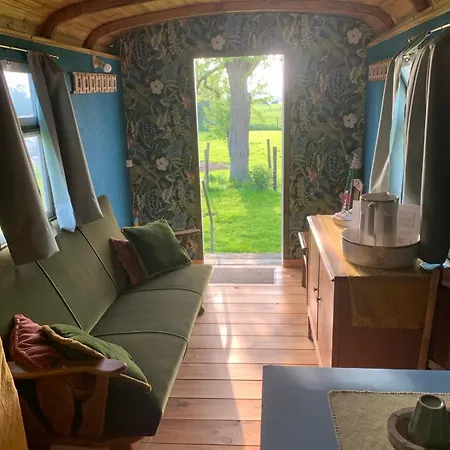 Kamp alanı In De Wolf Watervliet