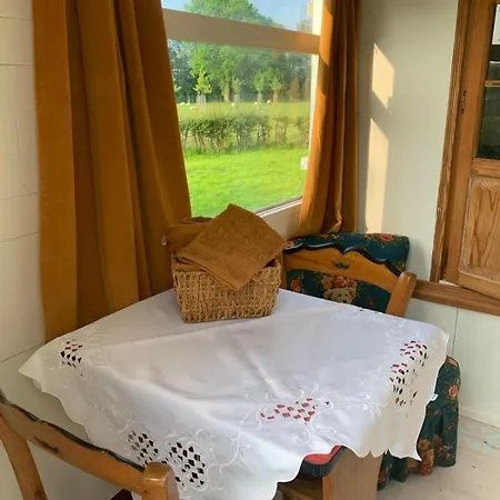Kamp alanı In De Wolf Watervliet